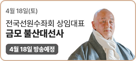 �ݸ� �һ�뼱�� (��ۿ���)